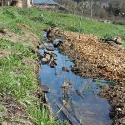 Permacultuurcentrum Den Haag