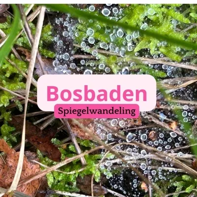 Praktijk la Rose