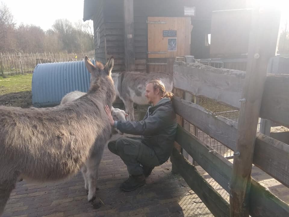 Bij Pluk in de wei: lammetjes!