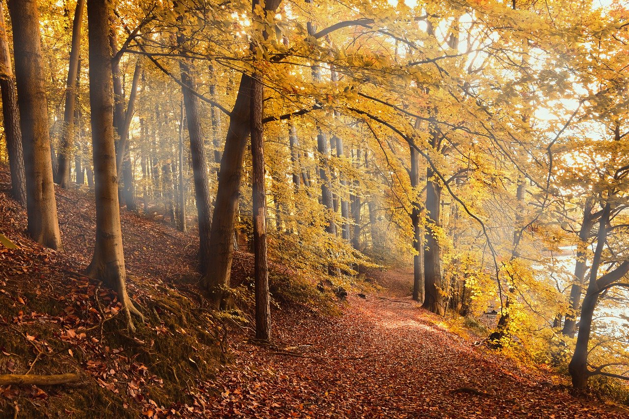 Er is een tijd van vasthouden en een tijd van loslaten