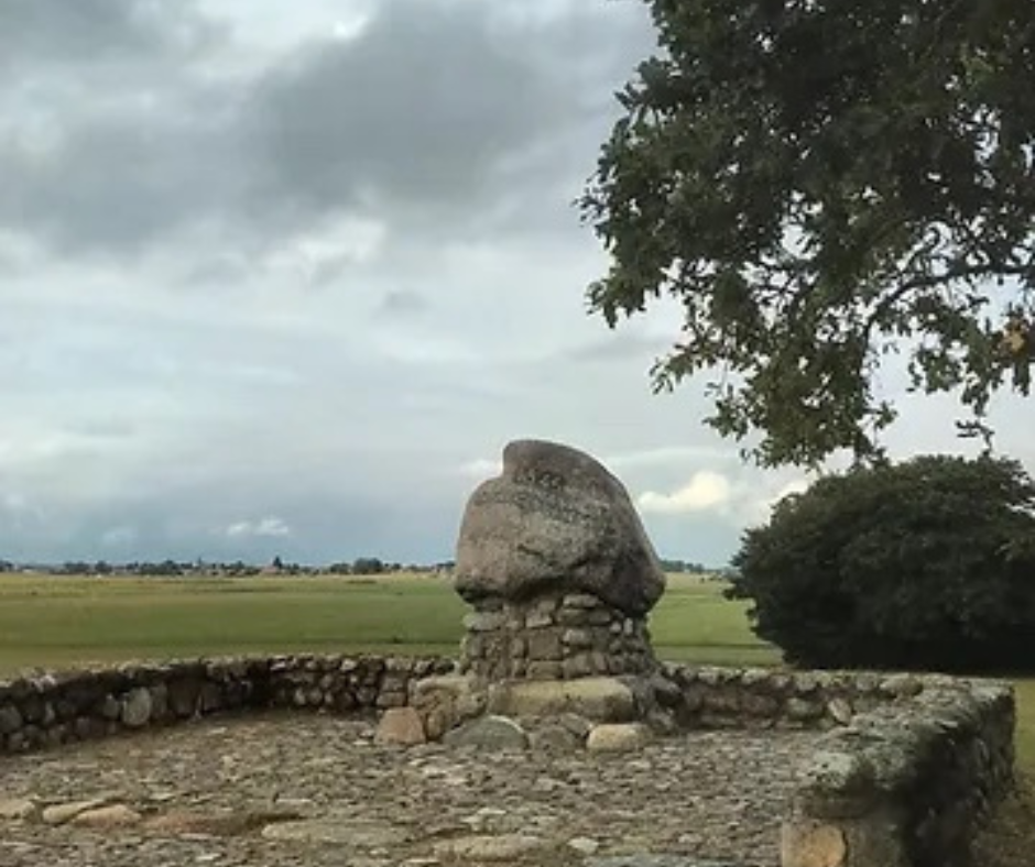 Over Friesland, liefde voor het land en vooral halen zonder brengen