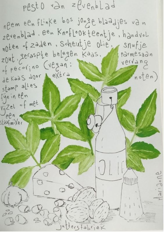 Pesto van zevenblad