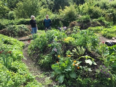SLALOM – jaarrond salade uit eigen (stads)tuin. Met crowdfunding!